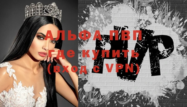 молекула духа Дмитров