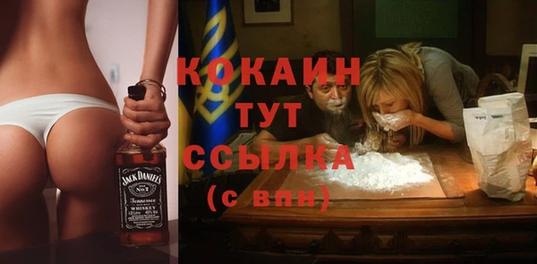 молекула духа Дмитриев
