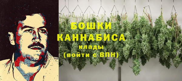 молекула духа Дмитров