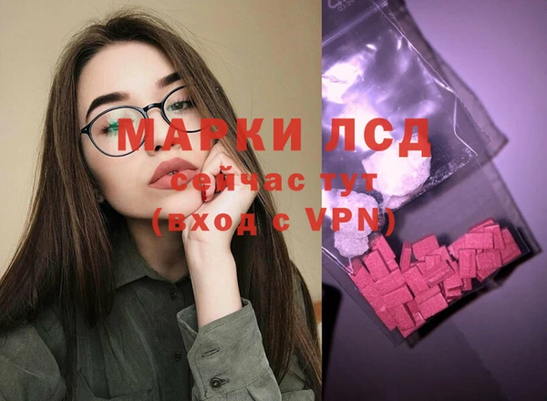 молекула духа Дмитров