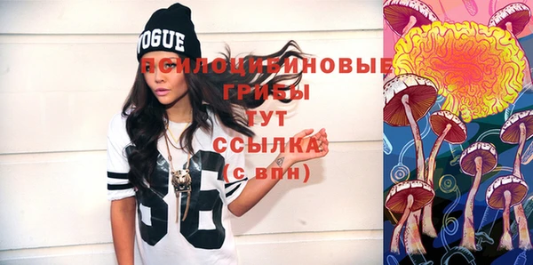 ГАЛЛЮЦИНОГЕННЫЕ ГРИБЫ Дмитровск