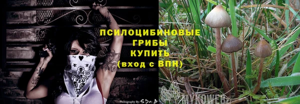 молекула духа Дмитриев