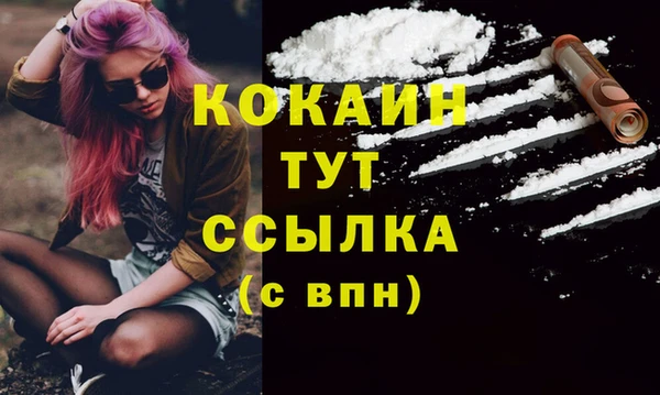 молекула духа Дмитров