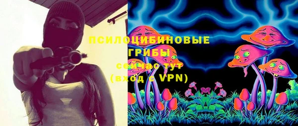 молекула духа Дмитриев