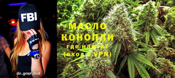 молекула духа Дмитриев