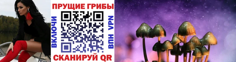 Псилоцибиновые грибы MAGIC MUSHROOMS  Купить  Майский 